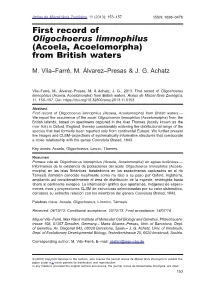 Acoela, Acoelomorpha) from British Waters