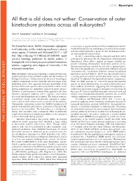 Conservation of Outer Kinetochore Proteins Across All Eukaryotes?