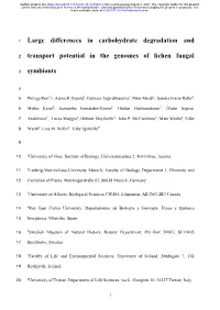 Large Differences in Carbohydrate Degradation and Transport Potential