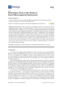Meta-Omics Tools in the World of Insect-Microorganism Interactions