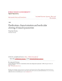 Purification, Characterization and Molecular Cloning of Muscle Paranemin Philip Mark Hemken Iowa State University