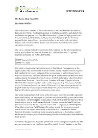 Site Synopsis