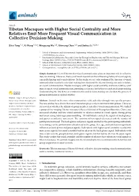 Tibetan Macaques with Higher Social Centrality and More Relatives Emit More Frequent Visual Communication in Collective Decision-Making