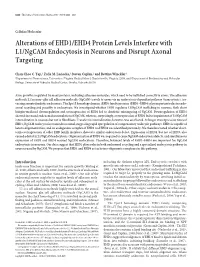 Alterations of EHD1/EHD4 Protein Levels Interfere with L1/Ngcam Endocytosis in Neurons and Disrupt Axonal Targeting