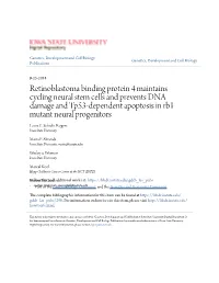 Retinoblastoma Binding Protein 4 Maintains Cycling Neural Stem Cells and Prevents DNA Damage and Tp53-Dependent Apoptosis in Rb1 Mutant Neural Progenitors Laura E