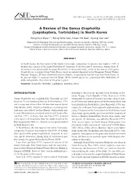 07-0056A Review
