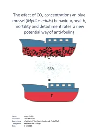 The Effect of CO2 Concentrations on Blue Mussel (Mytilus Edulis) Behaviour, Health, Mortality and Detachment Rates: a New Potential Way of Anti-Fouling