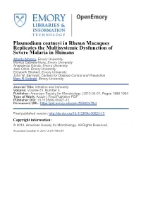 File Download