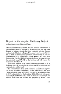 Report on the Assyrian Dictionary Project