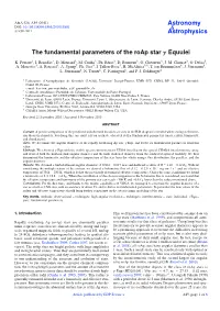 The Fundamental Parameters of the Roap Star Γ Equulei