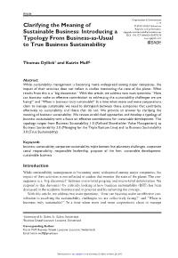 Clarifying the Meaning of Sustainable Business