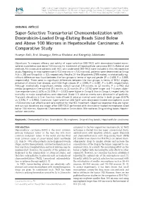 Super-Selective Transarterial Chemoembolization With