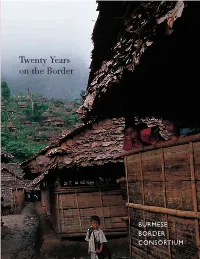 Twenty Years on the Border