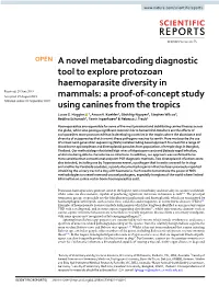 A Novel Metabarcoding Diagnostic Tool to Explore Protozoan