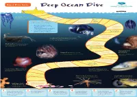 Deep Ocean Dive