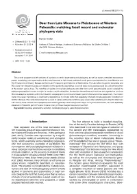 Deer from Late Miocene to Pleistocene of Western Palearctic: Matching Fossil Record and Molecular Phylogeny Data