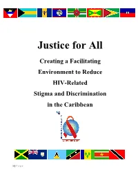 Justice for ALL Background Report