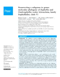 Resurrecting a Subgenus to Genus: Molecular Phylogeny of Euphyllia and Fimbriaphyllia (Order Scleractinia; Family Euphylliidae; Clade V)
