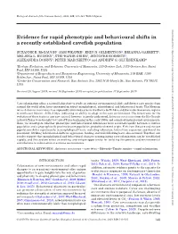 Evidence for Rapid Phenotypic and Behavioural Shifts in a Recently Established Cavefish Population