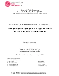EXPLORING the ROLE of the MAJOR PILIN Pile in the FUNCTIONS of TYPE IV PILI