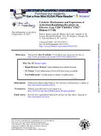 Human T Cells − CD27 + CD45RA + Effector-Type CD8 Activation
