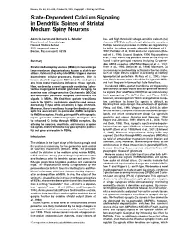 State-Dependent Calcium Signaling in Dendritic Spines of Striatal Medium Spiny Neurons
