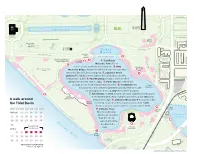 A Walk Around the Tidal Basin