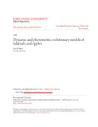 Dynamic and Photometric Evolutionary Models of Tidal Tails and Ripples John F