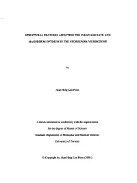 Structural Features Affecting the Cleavage Rate And