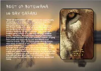 BEST of BOTSWANA 2020 to 2021