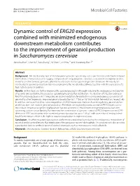 Saccharomyces Cerevisiae Jianzhi Zhao1, Chen Li1, Yan Zhang1, Yu Shen1, Jin Hou1* and Xiaoming Bao1,2*