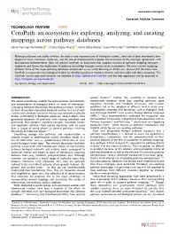 An Ecosystem for Exploring, Analyzing, and Curating Mappings Across Pathway Databases