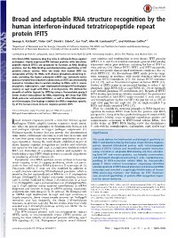 Broad and Adaptable RNA Structure Recognition by the Human Interferon-Induced Tetratricopeptide Repeat Protein IFIT5