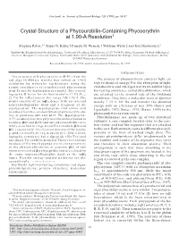 Crystal Structure of a Phycourobilin-Containing Phycoerythrin at 1.90-Å Resolution1
