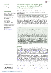 Mammomonogamus Nematodes in Felid Carnivores: a Minireview and the First Cambridge.Org/Par Molecular Characterization