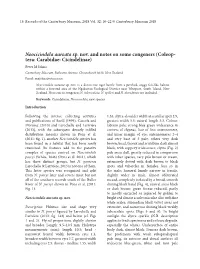 Neocicindela Aureata Sp. Nov. and Notes On