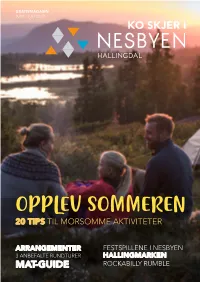 Opplev Sommeren 20 Tips Til Morsomme Aktiviteter