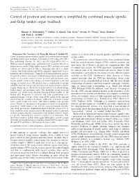 Control of Position and Movement Is Simplified by Combined Muscle