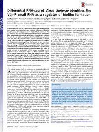 Differential RNA-Seq of Vibrio Cholerae Identifies the Vqmr Small RNA As a Regulator of Biofilm Formation