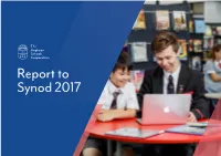 Report to Synod 2017