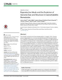 Reproductive Mode and the Evolution of Genome Size and Structure in Caenorhabditis Nematodes
