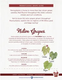 Pennsylvania Is Home to More Than Two Dozen Grape Varieties That Flourish Throughout the State’S Diverse Climate and Soil Conditions