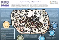 Antigen Processing and Presentation Pamela Wearsch and Peter Cresswell