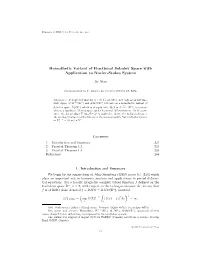 Homothetic Variant of Fractional Sobolev Space with Application to Navier-Stokes System