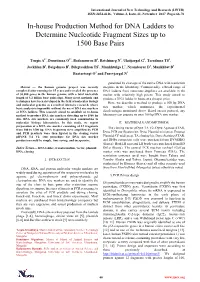 In-House Production Method for DNA Ladders to Determine Nucleotide Fragment Sizes up to 1500 Base Pairs