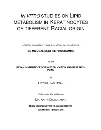 In Vitro Studies on Lipid Metabolism in Keratinocytes of Different Racial Origin