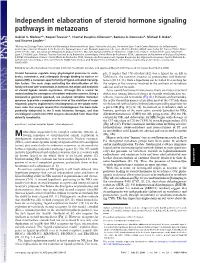 Independent Elaboration of Steroid Hormone Signaling Pathways in Metazoans
