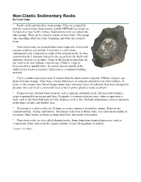 Non-Clastic Sedimentary Rocks by Cindy Grigg
