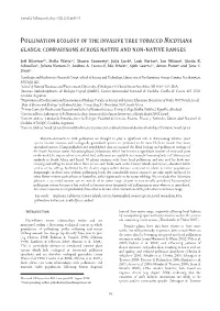 Pollination Ecology of the Invasive Tree Tobacco Nicotiana Glauca : Comparisons Across Native and Non -Native Ranges