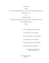 A Dissertation Entitled Uncovering Cannabinoid Signaling in C. Elegans